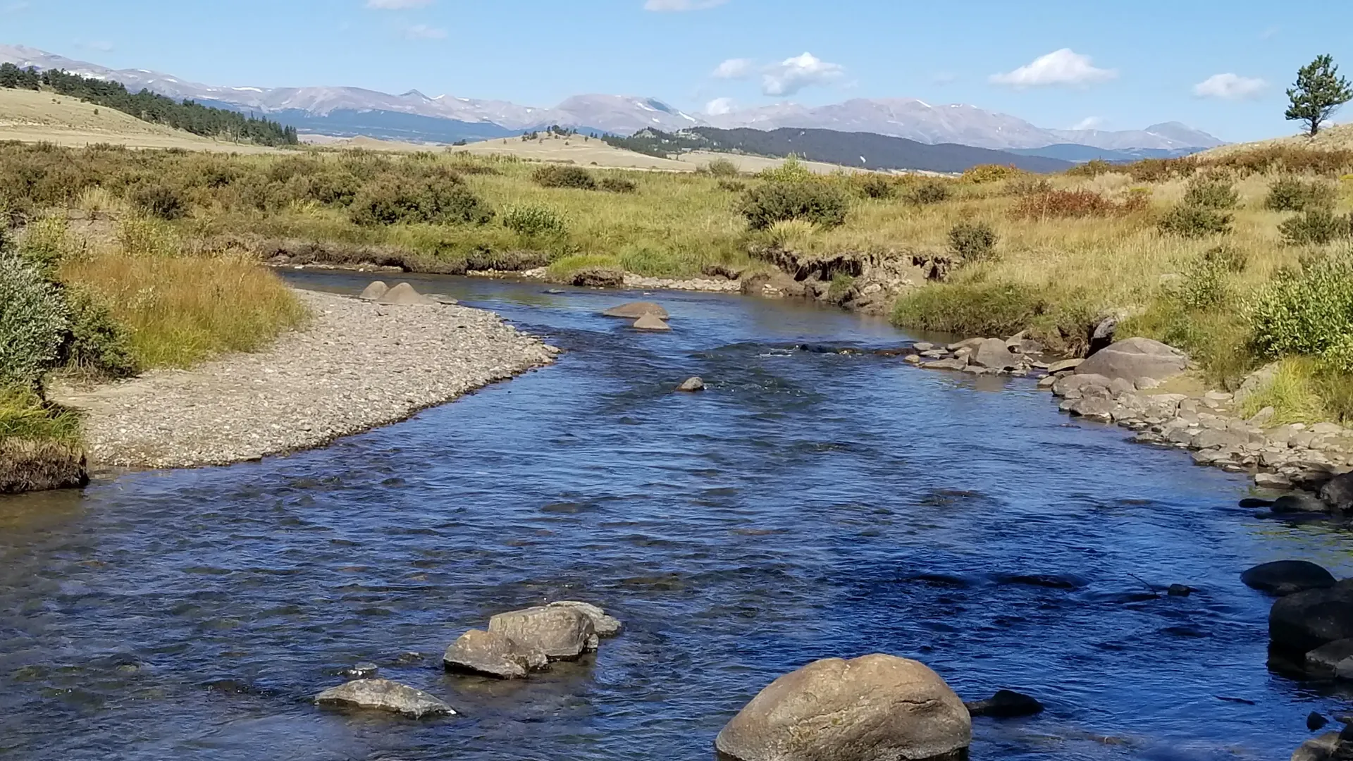 Smoky Mountain wild trout water — Fly Fishing Guide School Bryson City NC