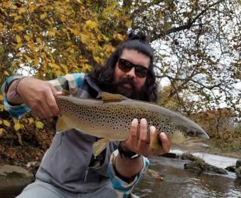 jon-tuckasegee-brown-trout.jpg